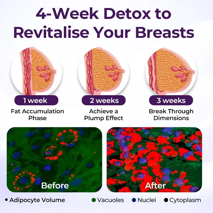 Acezozla® Maxcurve Lift & Plump krēms - Image 7