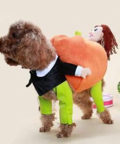 Poochy Pumpkin Helovīna apģērbs